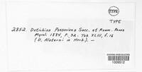 Dothichiza passeriniana image